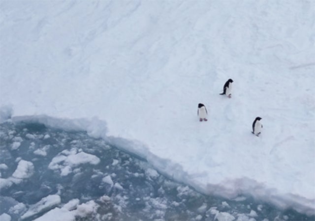 南極の海に探る 地球の未来