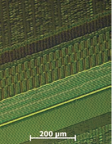 201508281322_2.png