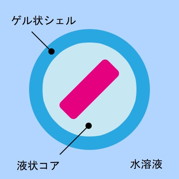 AGM構造｜AGM™試薬キット｜ワン・テクノロジーズ・カンパニー