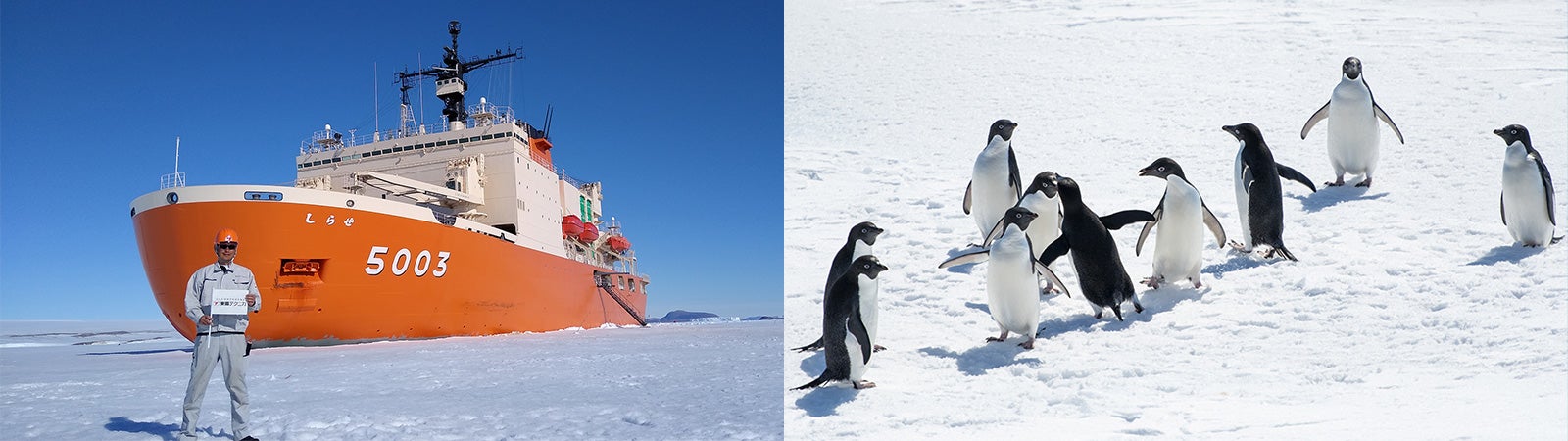 第61次南極地域観測隊に参加