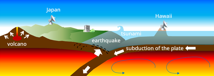 Schematic depiction of plate movements
Source: Website of the Geospatial Information Authority of Japan