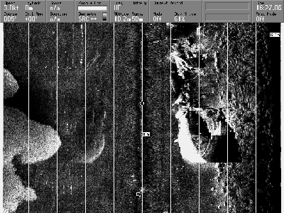 高周波曳航器　50mレンジ　沈船（画面左）