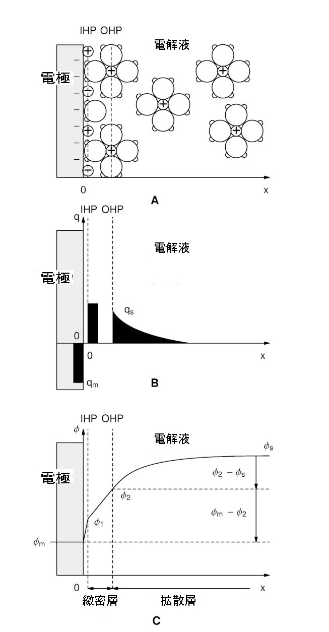 nijyuso_figure1.png