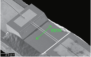 図4: Microflownプローブ受感部のSEM(scanning electron microscope)画像